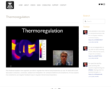 Thermoregulation