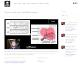 Transport Across Cell Membranes