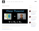 Water Potential