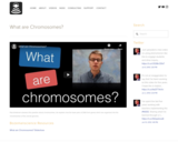 What are Chromosomes?