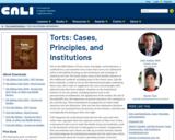 Torts: Cases, Principles, and Institutions