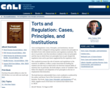 Torts and Regulation: Cases, Principles, and Institutions