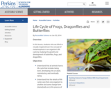 Life Cycle of Frogs, Dragonflies and Butterflies