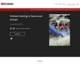 Problem Solving in Teams and Groups