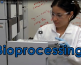 Bioprocessing:  Join Us On The Edge