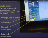 Cell Enumeration Techniques - BioForum Webinar