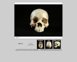 Forensics skull specimen 5 - male - African-American