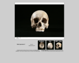 Forensics skull specimen C