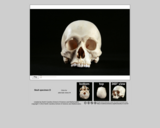 Forensics skull specimen D