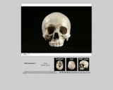 Forensics skull specimen F