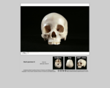 Forensics skull specimen G