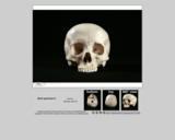 Forensics skull specimen H