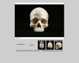 Forensics skull specimen J