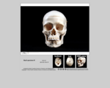 Forensics skull specimen R