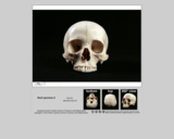 Forensics skull specimen S