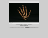 Australopithecus sebida MH 2 articulated hand