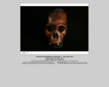 Hominid skull - Australopithecus sebida MH 1 (high angle view)