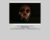 Hominid skull - Australopithecus sebida MH 1 (low angle view)