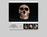 Hominid skull - Homo neanderthalensis La Ferrassie 1