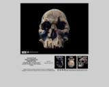 Hominid skull - Homo rudolphensis KNM-ER 1470