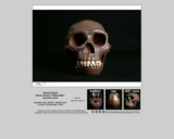 Hominid skull - Homo erectus "Peking Man"