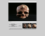 Hominid skull - Homo sapiens Cro-Magnon 1 "Old Man"