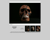 Hominid skull - Homo sapiens Qafzeh 9