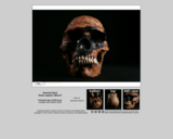 Hominid skull - Homo sapiens Skhul 5