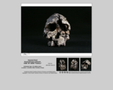 Hominid skull - Kenyanthropus platyops KNM-WT 40000 "Flatface"