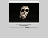 Hominid skull - Proconsul africanus KNM-RU 7920