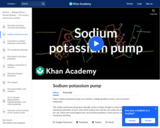 Sodium Potassium Pump