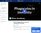 Role of Phagocytes in Innate or Nonspecific Immunity