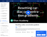 Reseting Cardiac Concentration Gradients