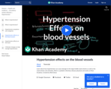 Hypertension effects on the blood vessels