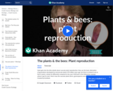 The Plants & The Bees: Plant Reproduction