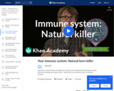 Your Immune System: Natural Born Killer