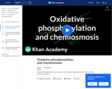 Oxidative Phosphorylation and Chemiosmosis