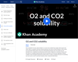 O2 and CO2 solubility