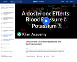Aldosterone raises blood pressure and lowers potassium