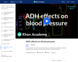 ADH effects on blood pressure