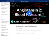 Angiotensin 2 raises blood pressure