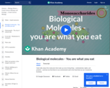 Biological Molecules - You Are What You Eat