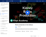 Renin production in the kidneys