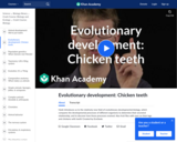 Evolutionary Development: Chicken Teeth