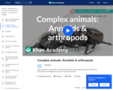 Complex Animals: Annelids & Arthropods