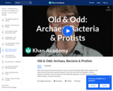 Old & Odd: Archaea, Bacteria & Protists