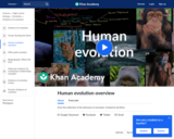 Human Evolution Overview