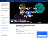 Nitrogen and Phosphorus Cycles: Always Recycle!