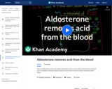 Aldosterone removes acid from the blood