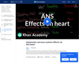 Autonomic Nervous System Effects on the Heart